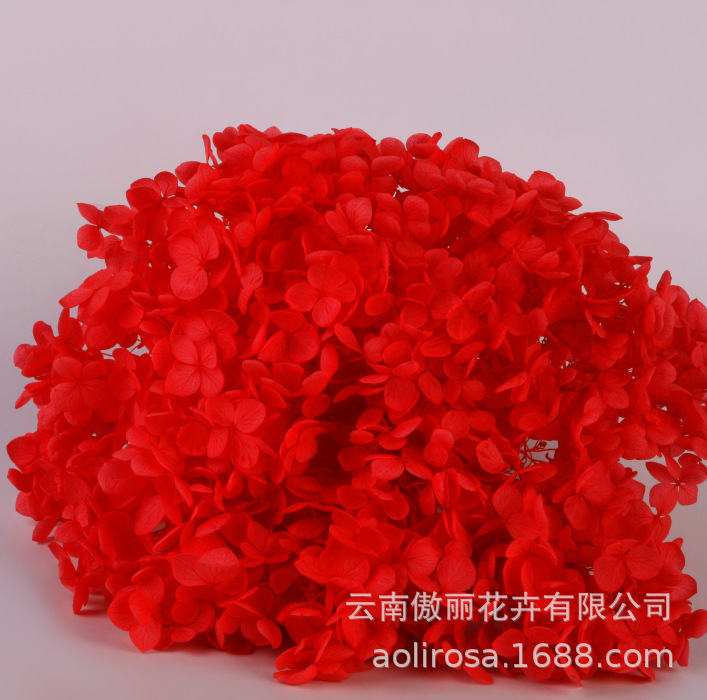 Grado A Anna Hortensia flor permanente flor seca Hortensia de hoja pequeña 20g Hortensia en caja fábrica al por mayor MATERIAL DE FLOR DE San Valentín