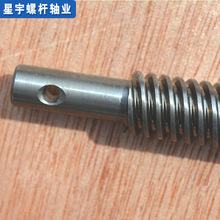 �ݼyͨ�z�� T12&times;�ݾ�5�S�Ҷ����p�^#20�΁�U�ݽz�ݾ��ݽz�U