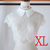 Demi-season lace false collar, universal shirt, decorations, Korean style, lace dress