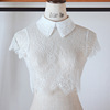 Demi-season lace false collar, universal shirt, decorations, Korean style, lace dress