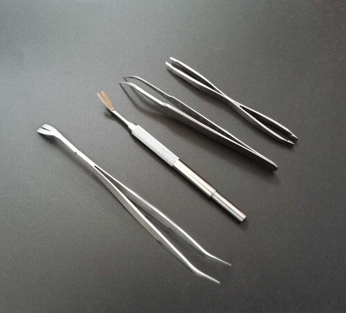 Stainless steel pet tick removal tweezers pet dog tick clip cat flea tool pet tick extractor