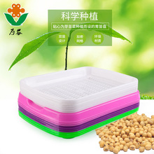 纸上种菜芽苗菜种植盘小麦草育苗盘双层盘多功能芽菜盘批发