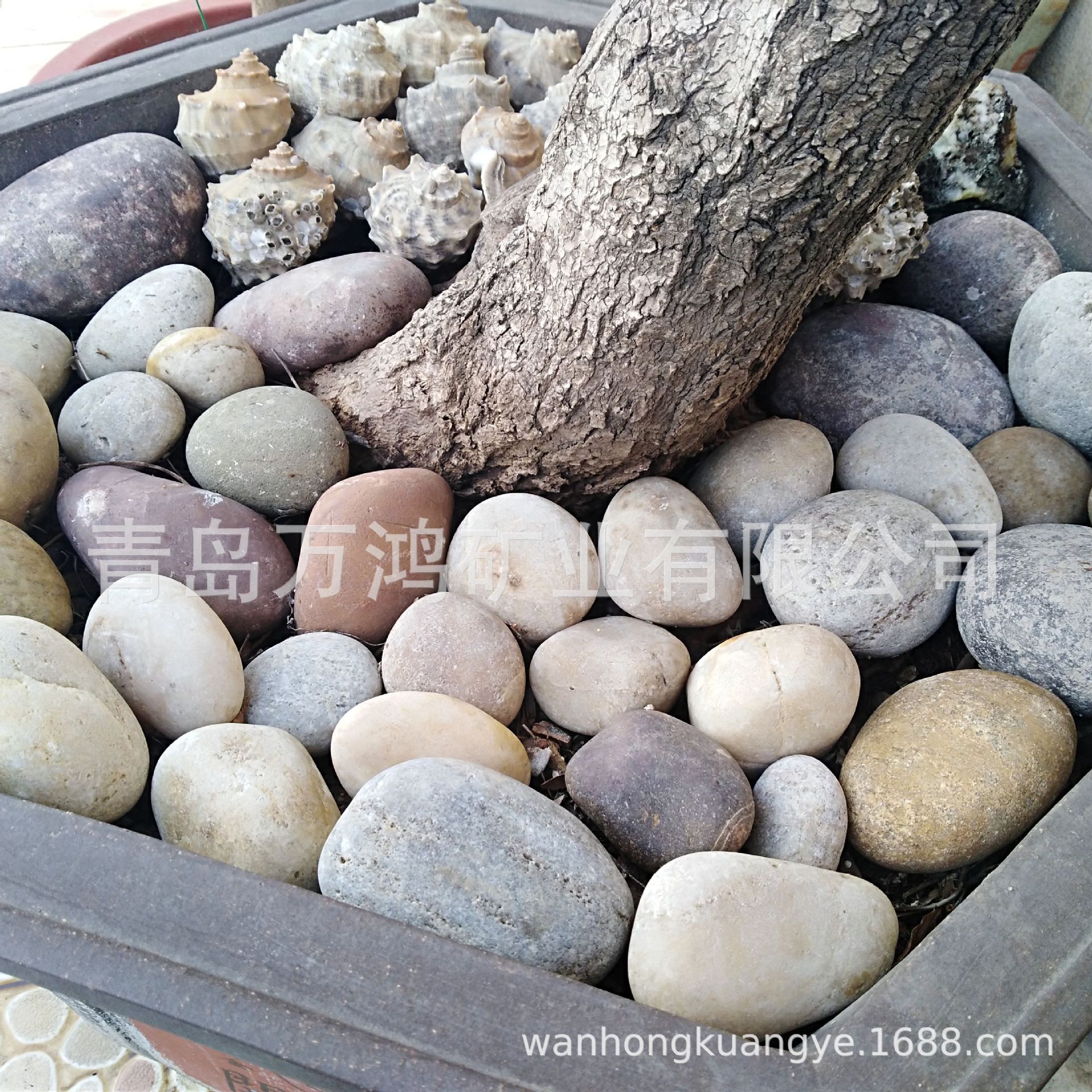 鹅卵石2-5cm卵石滤料 过滤污水处理卵石装饰用大石子砾石