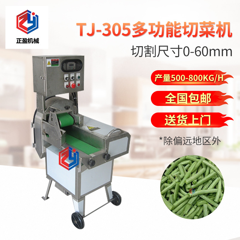 全自动切菜机双变频切菜机 TJ-305多功能切菜机 商用切菜机