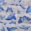 Blue Butterfly