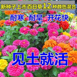 �＾����N�ӻ��Ӱ��ղ��ļ��N�׻���_�����໨�NͥԺ�ͺ�����