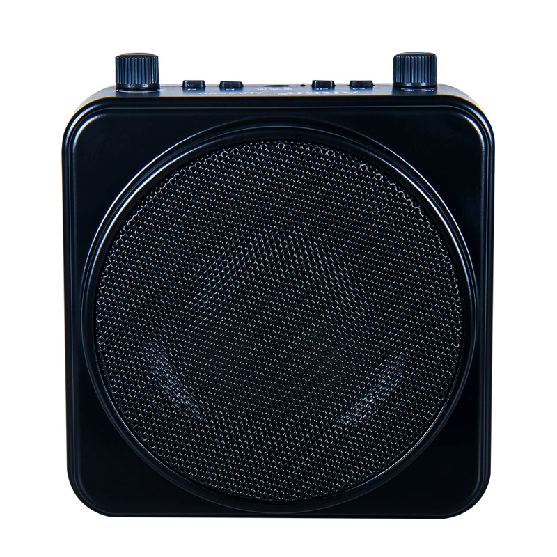 Любовь Класс MR2500 Громкоговоритель высокой мощности Аудио Пение Opera Bluetooth Обучение Пчела с усилителем учителя