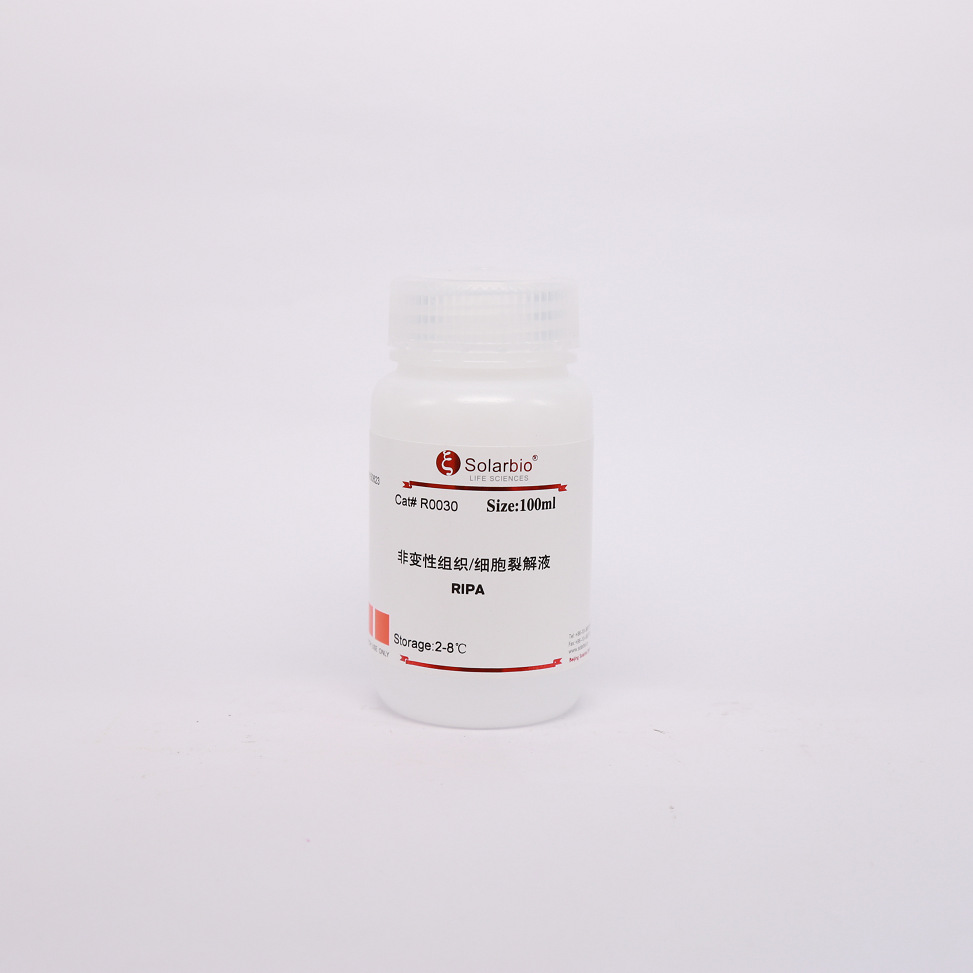 R0030 非变性组织/细胞裂解液 Native lysis Buffer 科研用