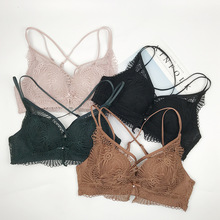 �¿�污���ٽz�������� �۔n�W���L�o�Ȧ���� ���l����