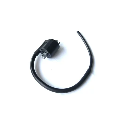 Ignition Coil for: Motuoche Alovlanma bobini (Babinalar)