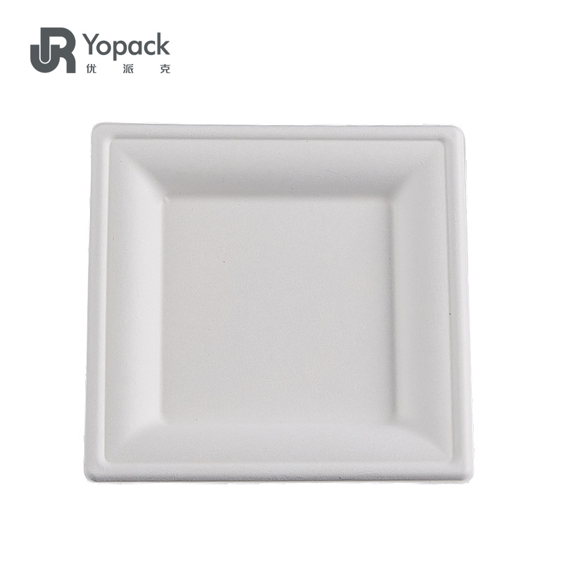 New online celebrity disposable sushi box cake tray sugarcane pulp paper sushi 16cm square plate