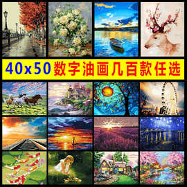 diy数字油画40*50风景人物花卉爱情卡通客厅装饰厂家直销百款任选