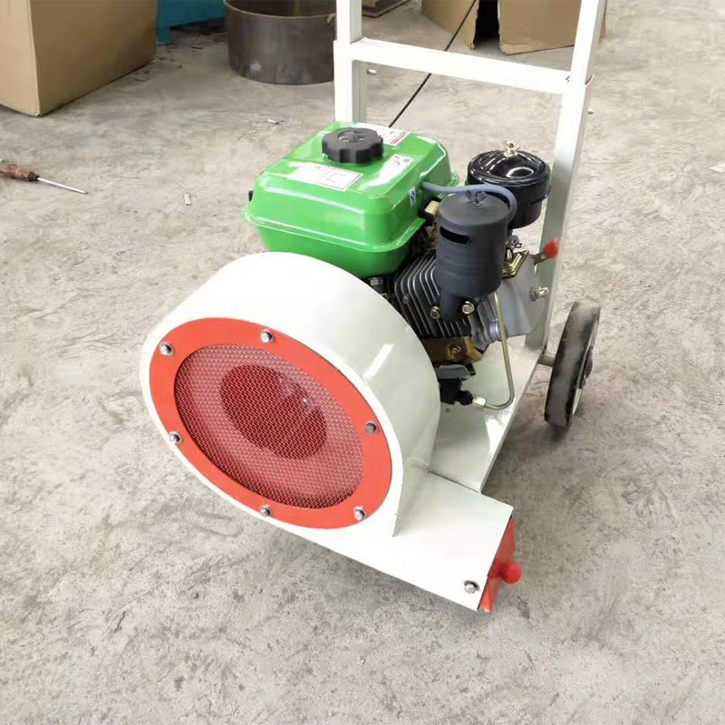 批发路面吹风机 大马力手推式马路吹风机 地面清理吹尘机