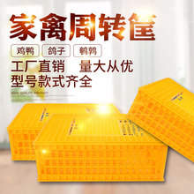 ͨ�_�����u�\�\ݔ�\���u���D���u���Z�û\���\�����u��Ӻ��u�\��