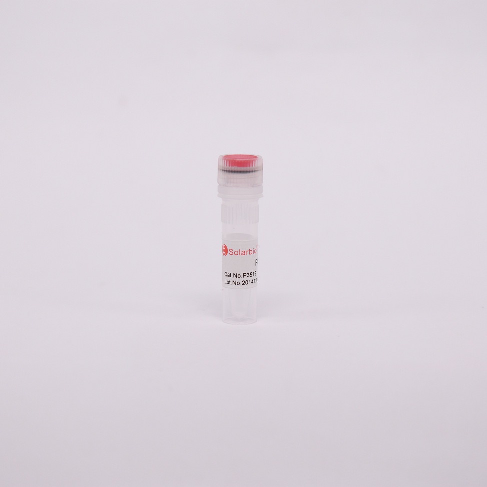 P3519 pUC19   pUC19   质粒  常用质粒  通用质粒 索莱宝 科研用