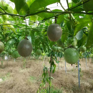 �������ˮ����������\������� �J�����üܗU