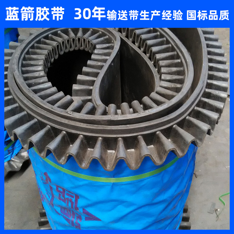 河北蓝箭供应波形挡板裙边尼龙输送带爬坡传送带橡胶裙边输送带