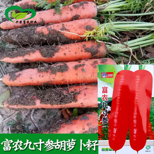 ���r�Ŵ煢���}���N�� �r��ˈ@�N��ā�����}���߲���