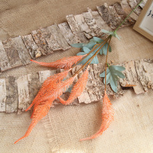 ��c����6�^�����z ��β�Ͳ� ��Y�þӼ�ܛ�b�ٻ��b� �j�D���l