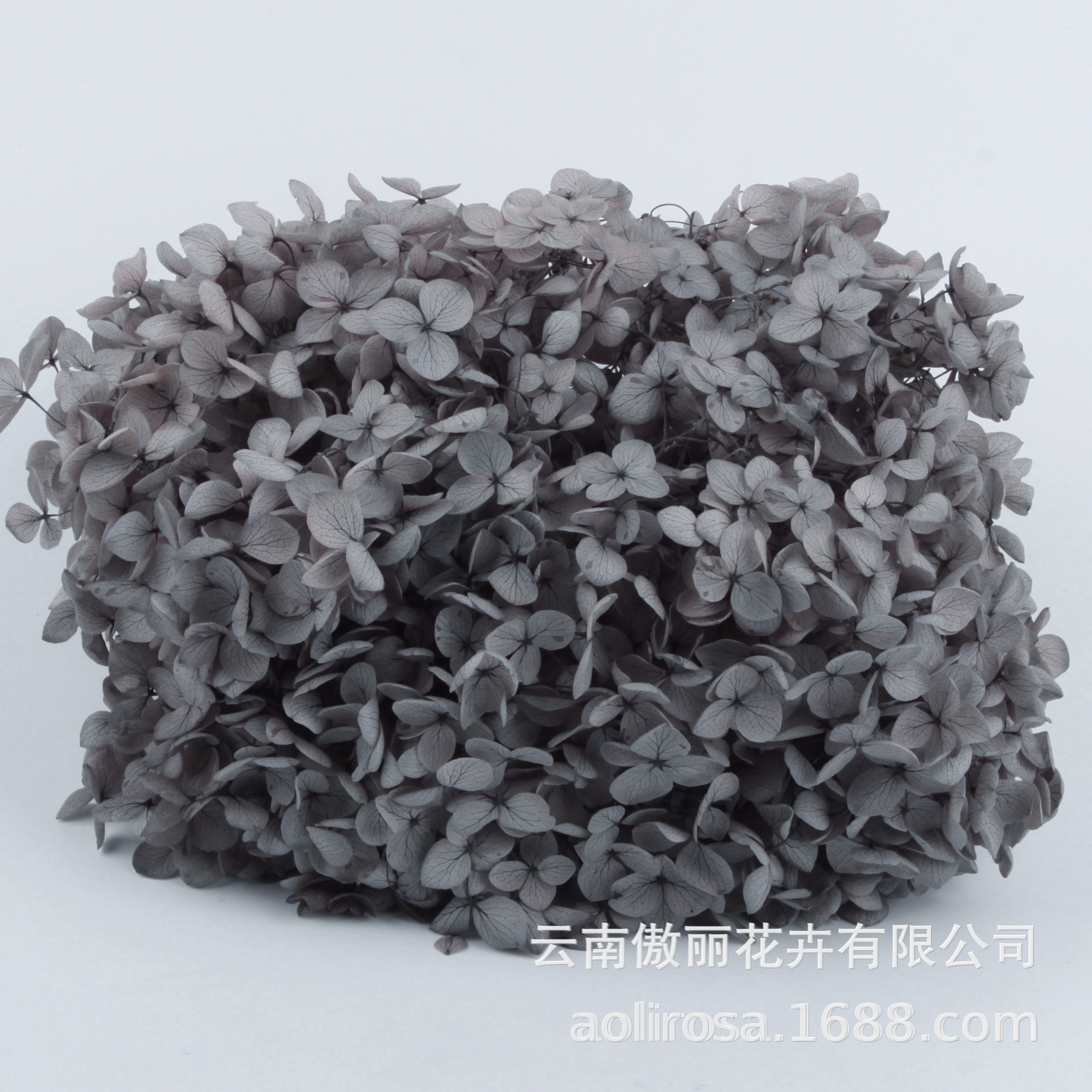 Grado A Anna Hortensia flor permanente flor seca Hortensia de hoja pequeña 20g Hortensia en caja fábrica al por mayor MATERIAL DE FLOR DE San Valentín