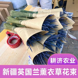 植物香料;干花;鲜花花艺制品