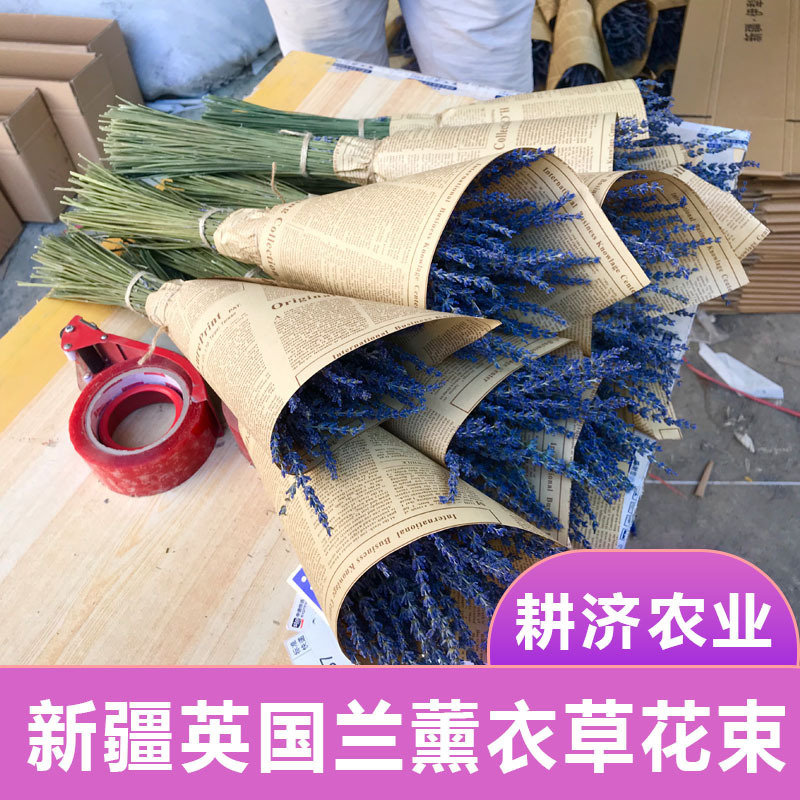 Xinjiang Yili Lavender Dried Flowers Long Spike Mixed Flowers bouquet Permanent True Flowers New Flowers Origin Directly for Export to Amazon Xinjiang Yili Lavender Dried Flowers Long Spike Mixed Flowers bouquet Permanent True Flowers New Flowers Origin Directly for Export to Amazon
