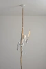 Hanging monkey white
