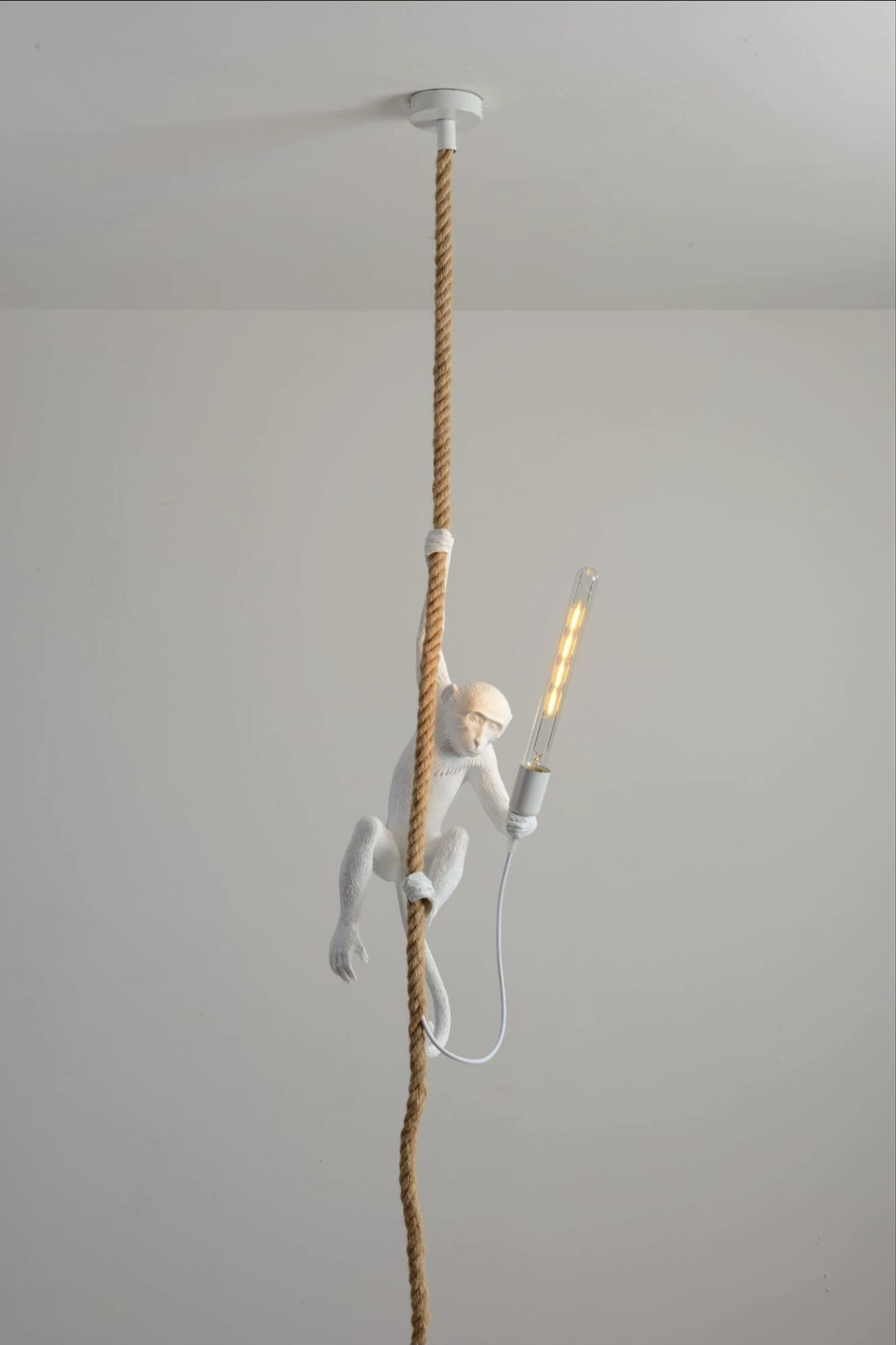 Cross -border source factory directly for monkey chandeliers industrial style Nordic chandelier restaurant decorative light resin lights