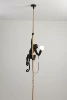 Monkey Black