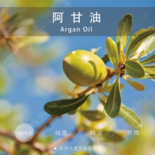 Ħ��� | �M�� ������ ���A���䉺��ե���l