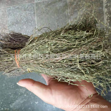 �V��Ұ�����_��a�����l ���_�� ��e�� ���_��