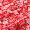 Sakura-red