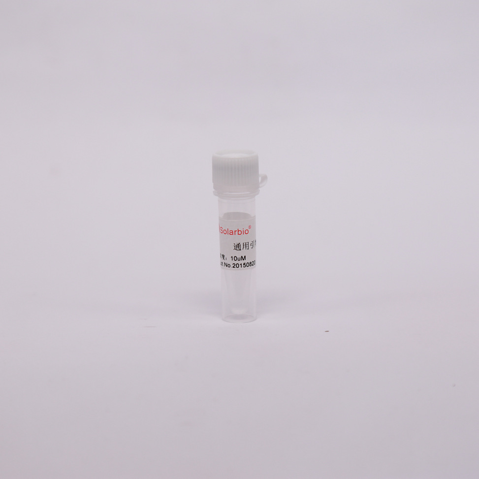 PC2410  通用引物 T7     通用引物 T7   索莱宝  引物 PCR