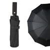 Automatic umbrella, fully automatic, wholesale