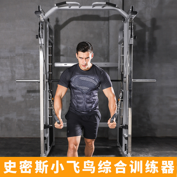 Yulong pequeño pájaro volador entrenador integral Smith pórtico fuerza entrenador multifuncional equipo de fitness hogar