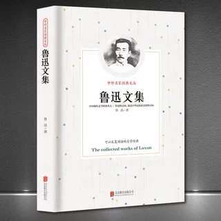 中外名家经典文丛《鲁迅文集》现代文学小说杂文新版典藏正版书籍