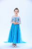 Dress, small princess costume, skirt, “Frozen”, gradient, long sleeve, wholesale