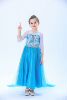 Dress, small princess costume, skirt, “Frozen”, gradient, long sleeve, wholesale