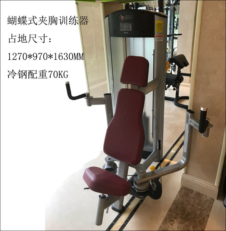 Pecho entrenador muslo flexión y estiramiento alto pull-down grandes y pequeñas aves voladoras de embarque gimnasio comercial Estudio de educación privada