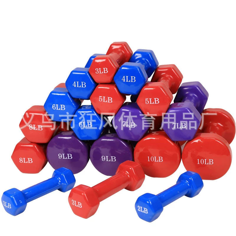 Dumbbells, sports equipment for gym for training