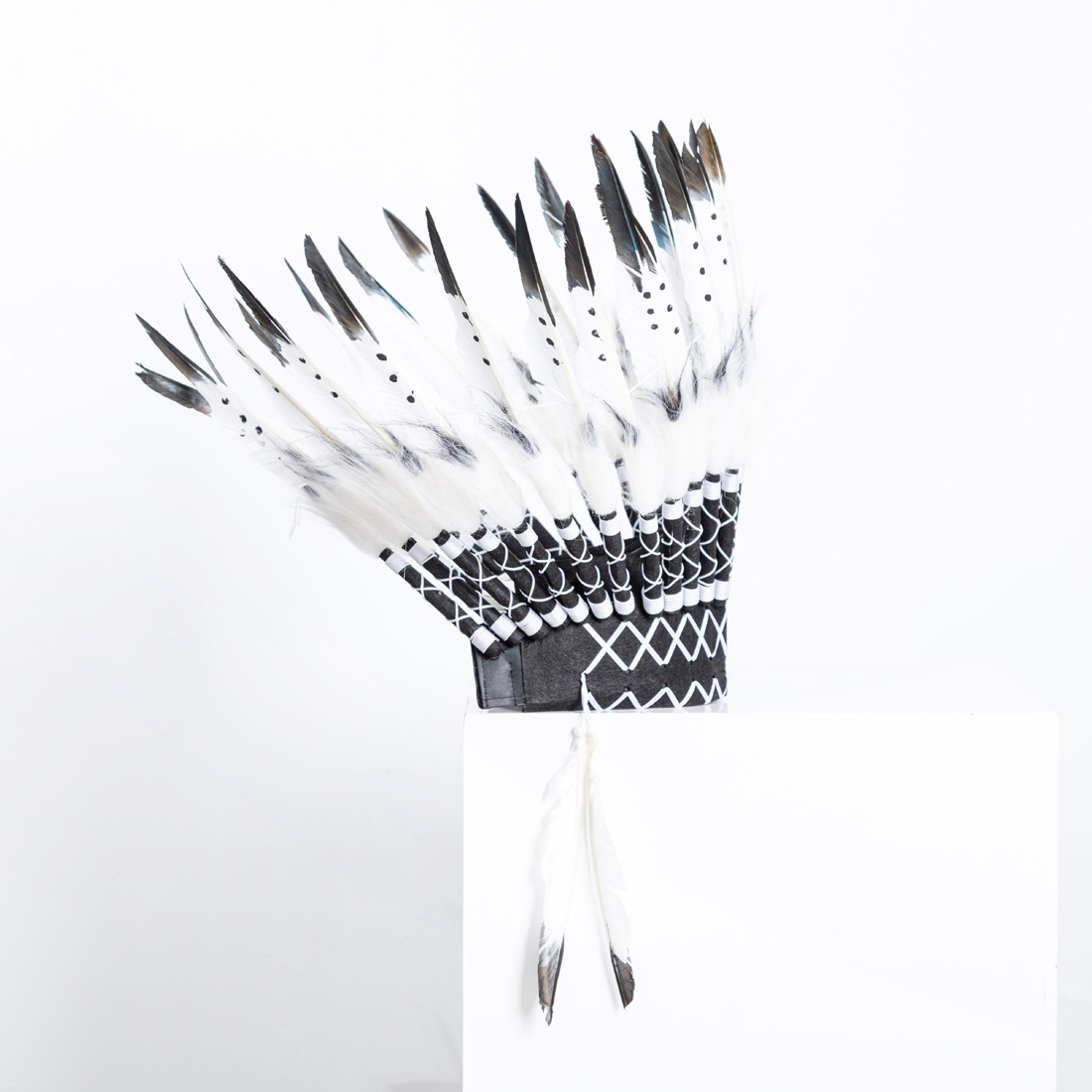 Black Feather