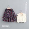 Autumn brand set, skirt, dress, Korean style, children's clothing, 2 piece set