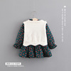 Autumn brand set, skirt, dress, Korean style, children's clothing, 2 piece set