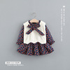 Autumn brand set, skirt, dress, Korean style, children's clothing, 2 piece set