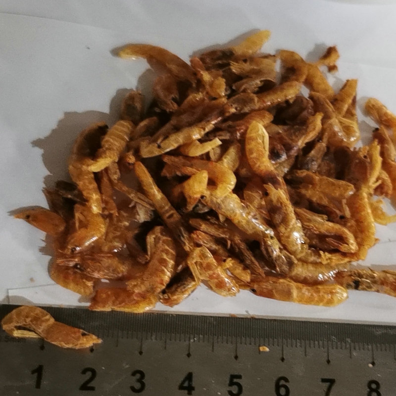 吉泰亿鑫晒干河虾干 养殖观赏虾干鱼食龟粮鱼饲料厂家批发|ms