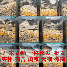 ������ɻ��Ͱ�u�ⶡ�ഺ�~�g����؈��ʳ15�N���l����500��Ͱ�b