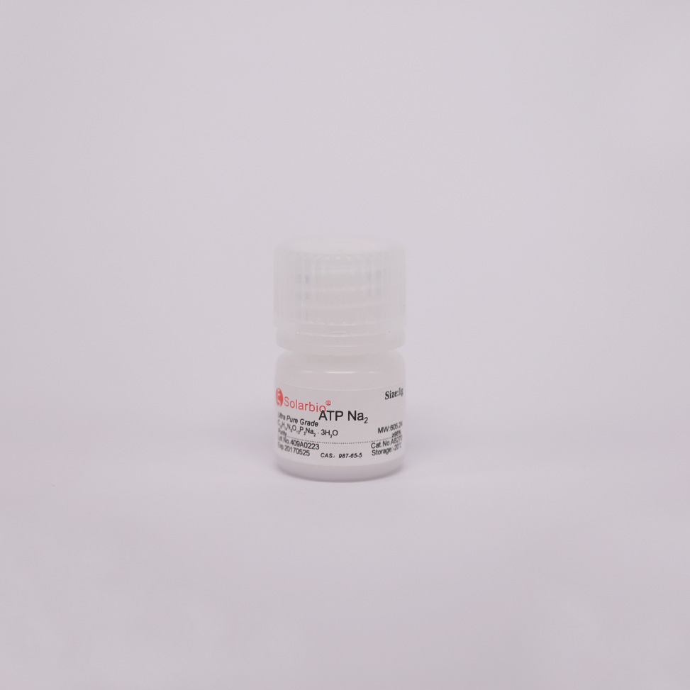 A8270  三磷酸腺苷二钠  5g/瓶  987-65-5  索莱宝 ATP二钠科研用