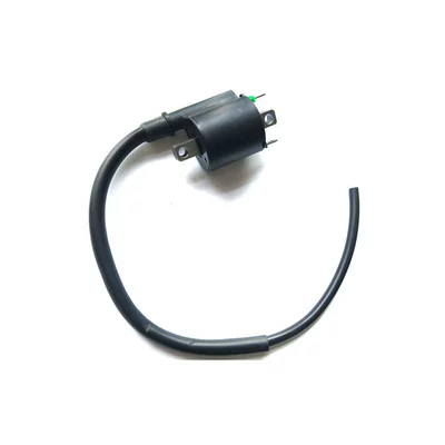 coil high voltage package — Power supply, ignition system accessories