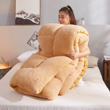 被子冬被芯冬天加厚保暖学生宿舍单人羊羔绒太空被丝绵被羽丝绒