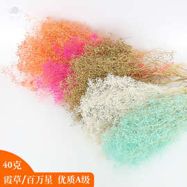 永生花花材批发永生花礼盒玻璃罩制作花材小满天星百万星